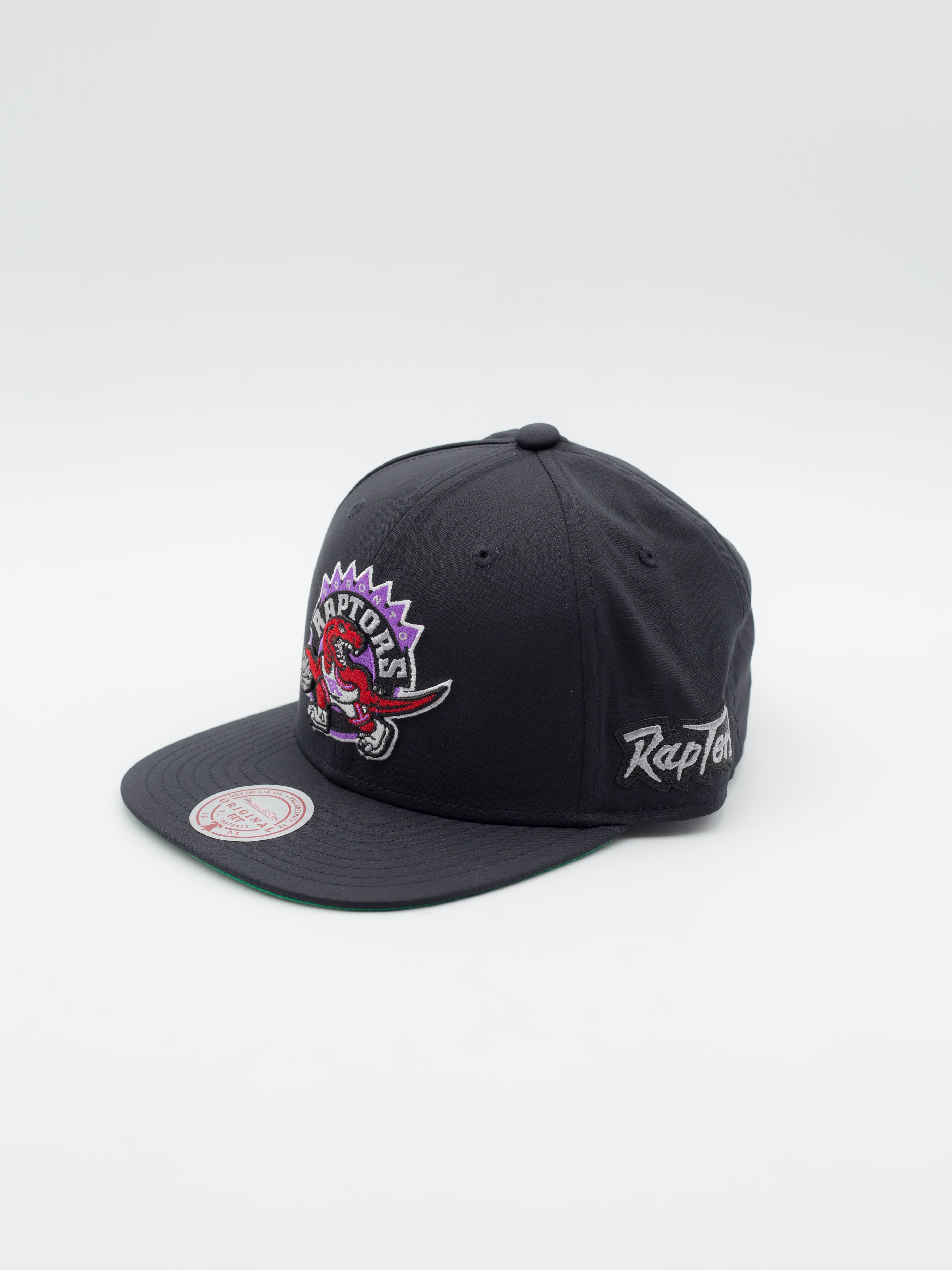 April Showers Toronto Raptors Snapback