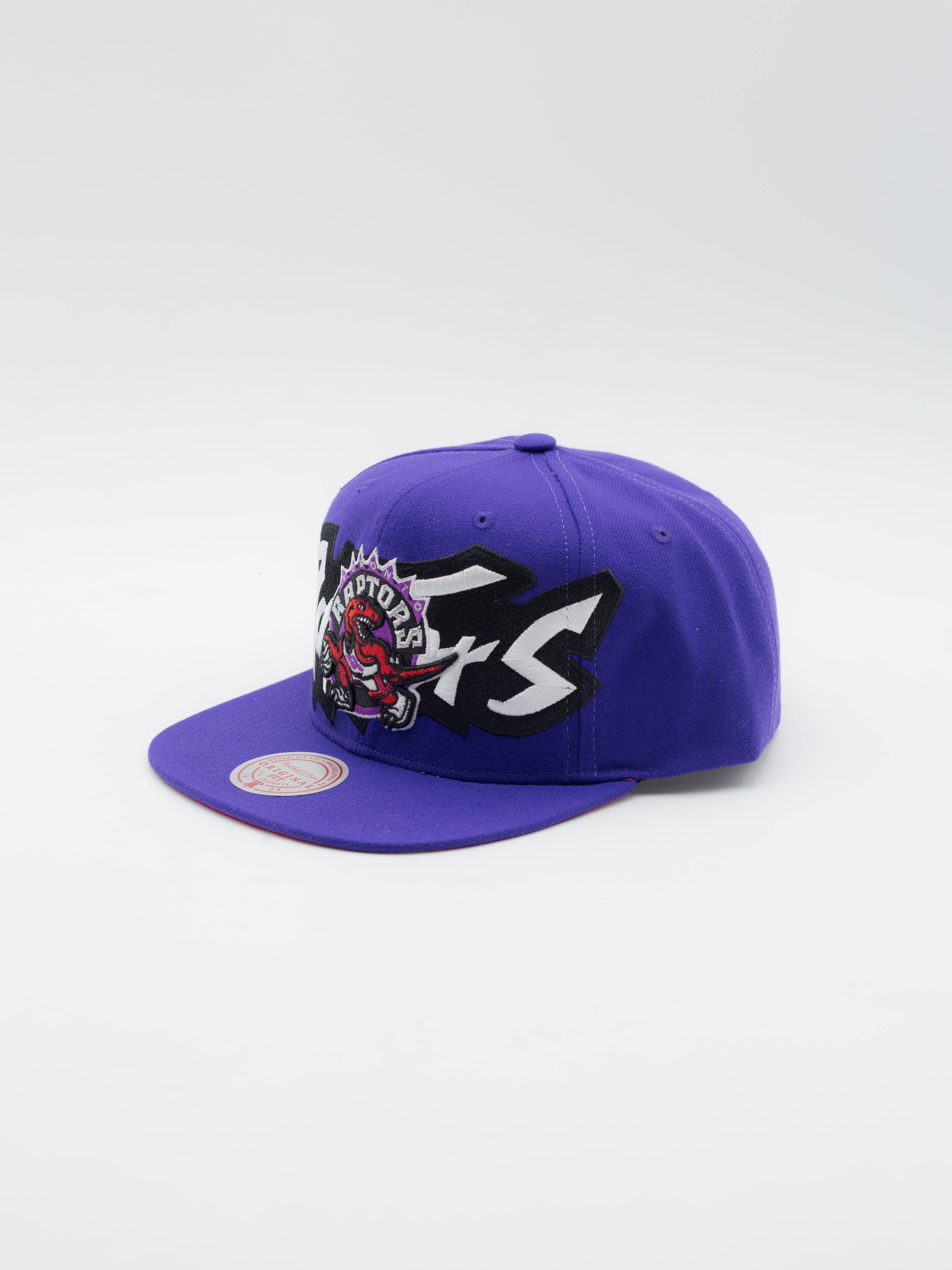Full Frontal Toronto Raptors Snapback