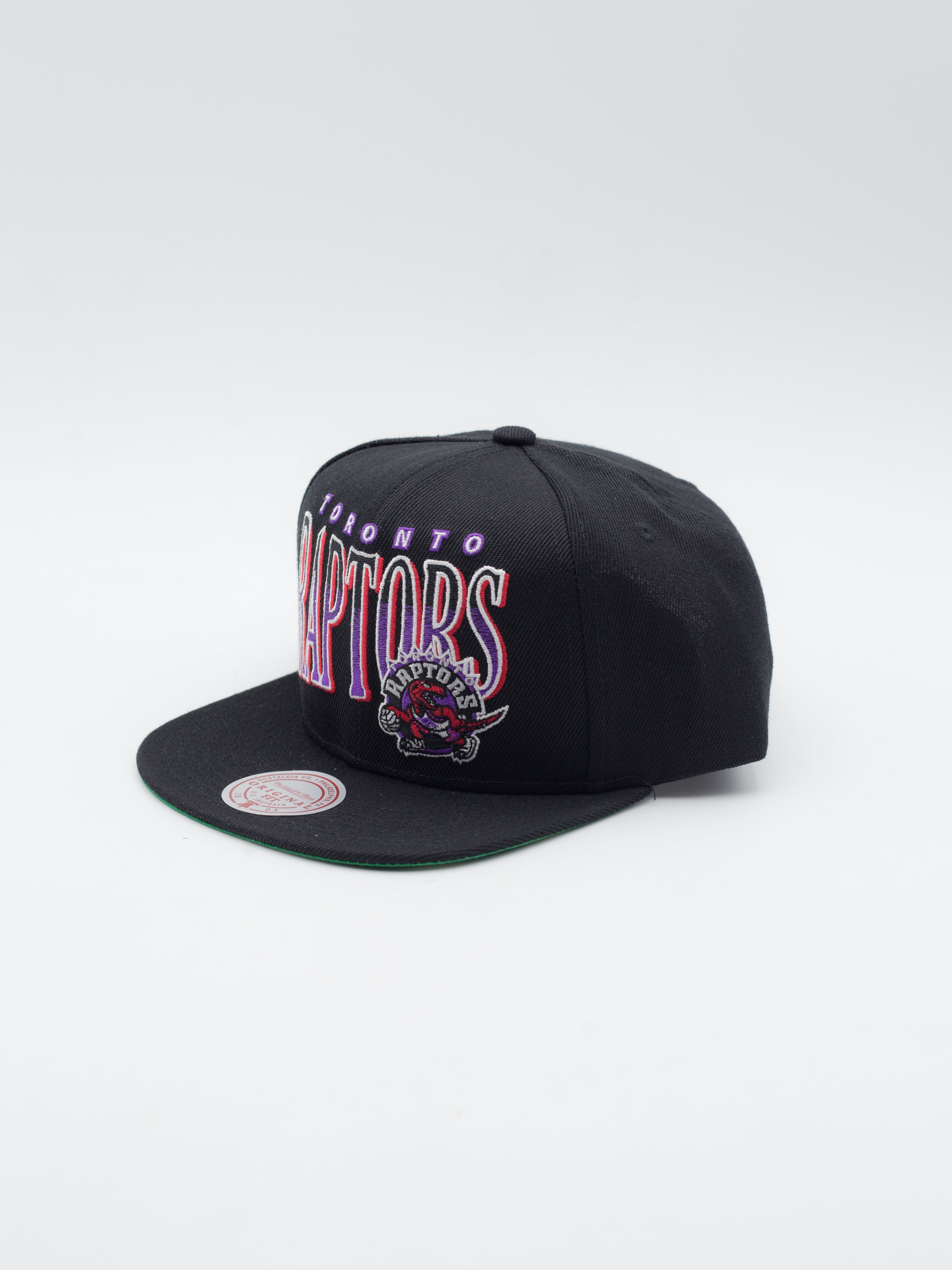 Line Work Toronto Raptors Snapback