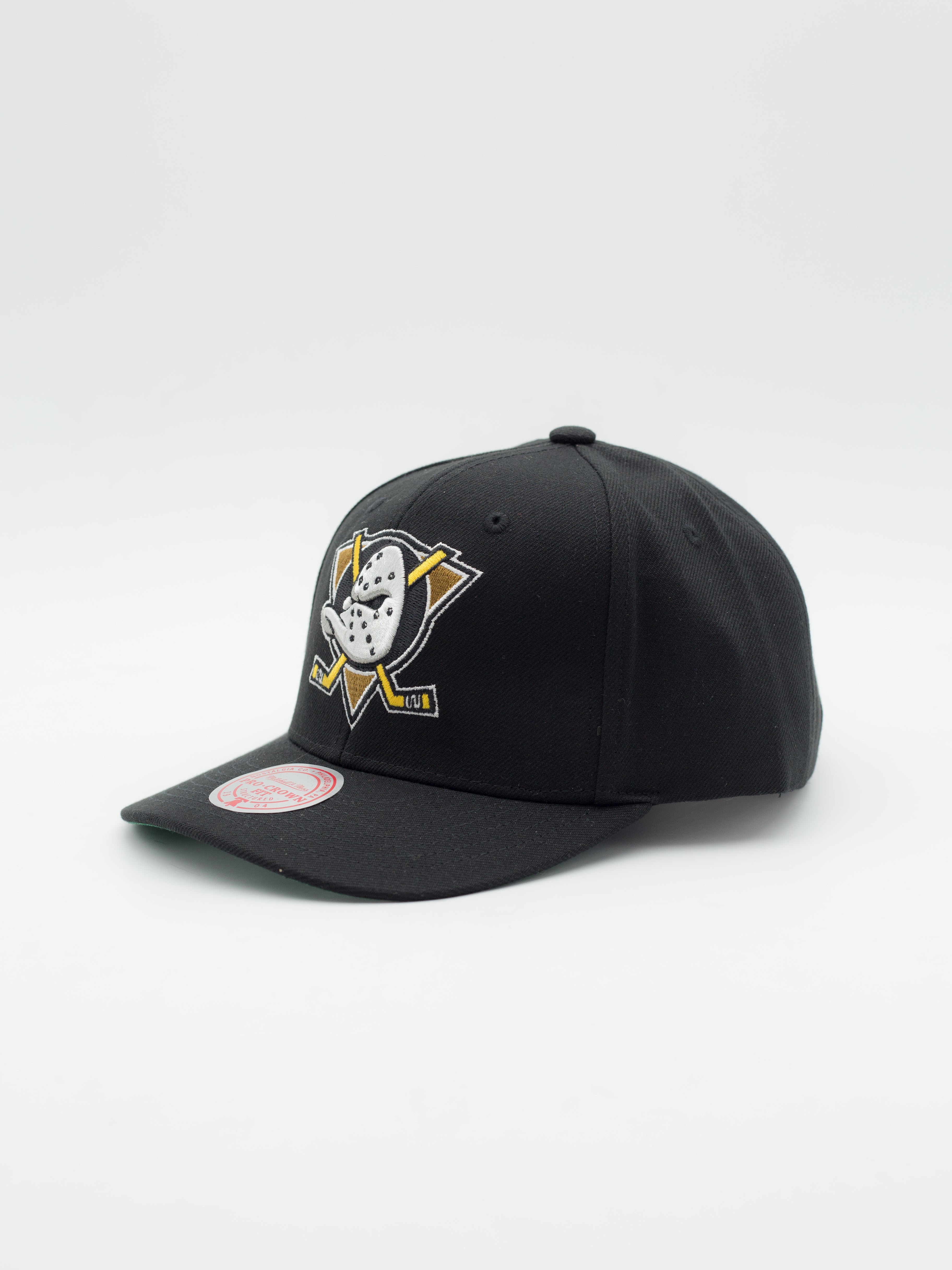Team Ground 2.0 Anaheim Ducks Pro Crown Snapback