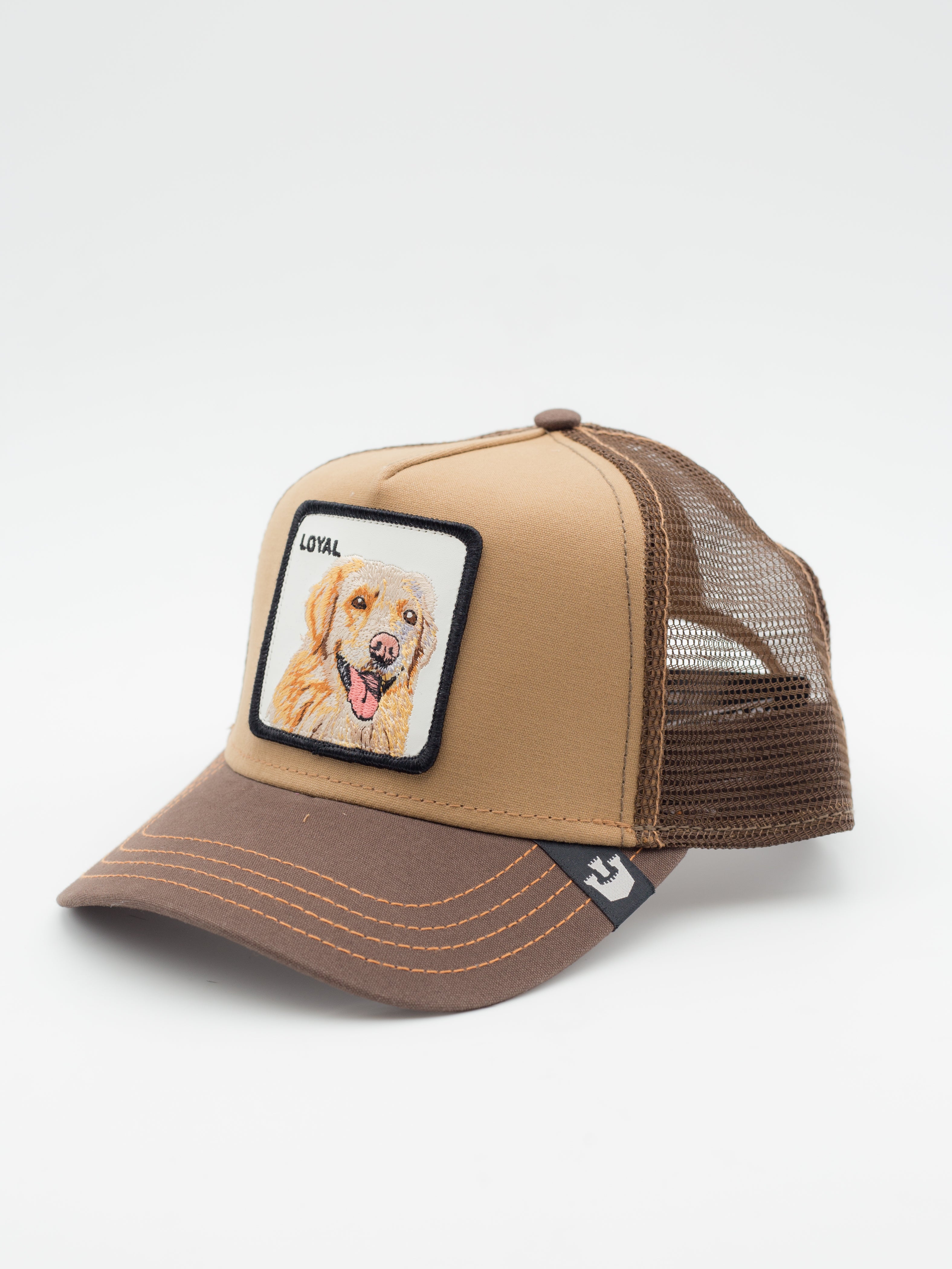 The Loyal Dog Trucker