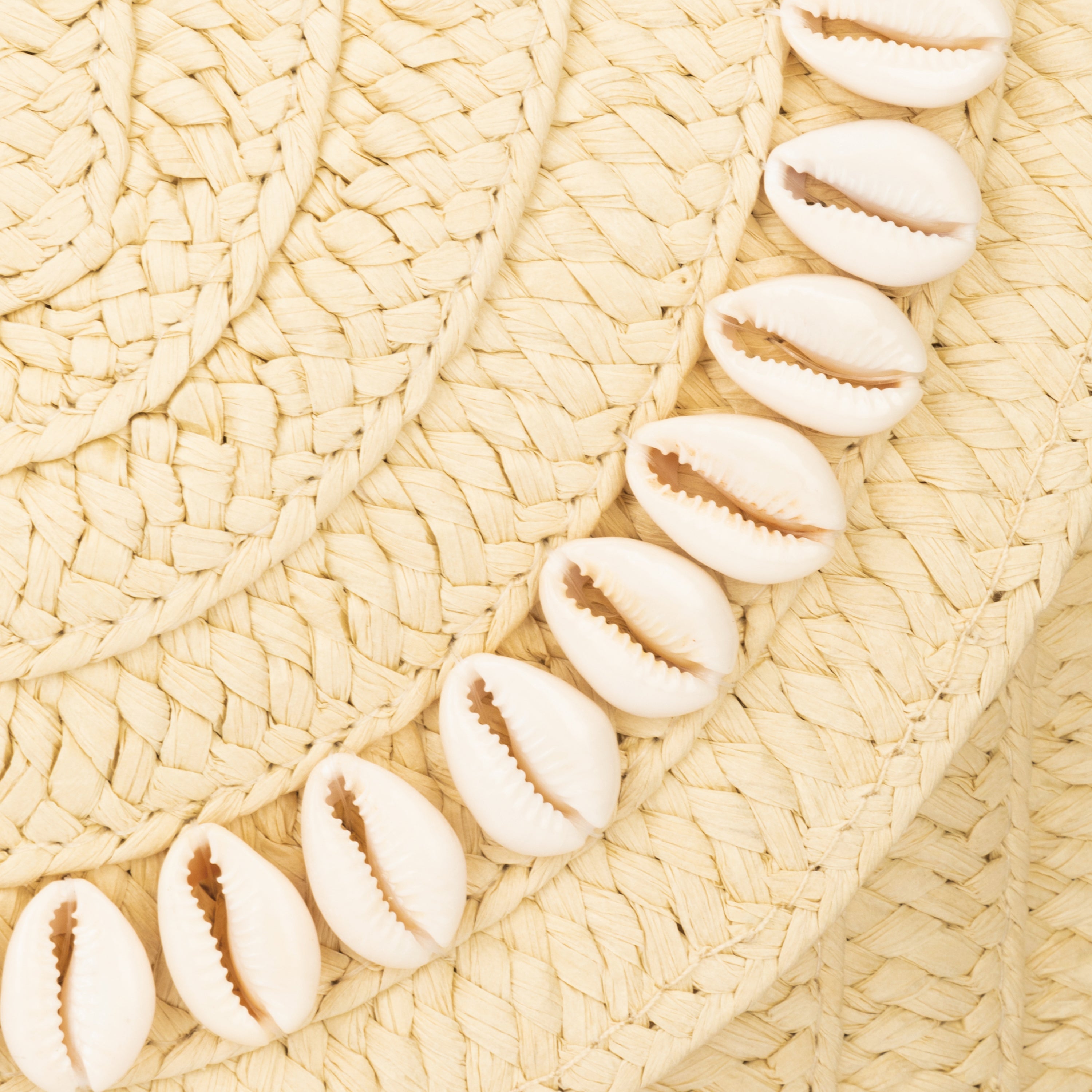 Sunny Braided Clutch 3 Sunny Braided Clutch